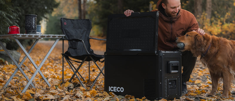 ICECO VL45ProS