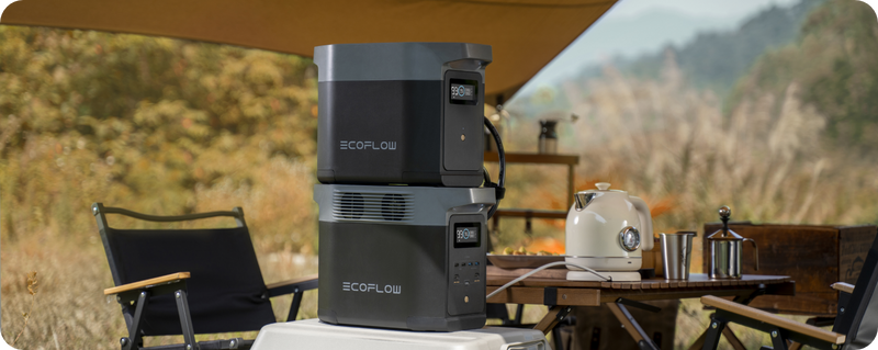 EcoFlow DELTA 2 Portable Power Station