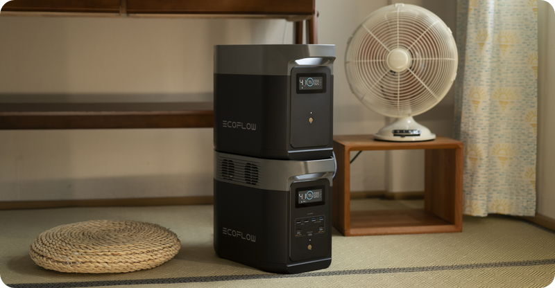 EcoFlow DELTA 2 Portable Power Station