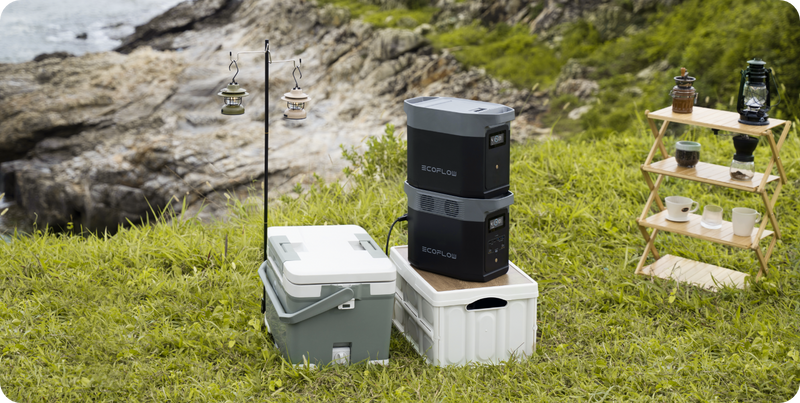 EcoFlow DELTA 2 Portable Power Station